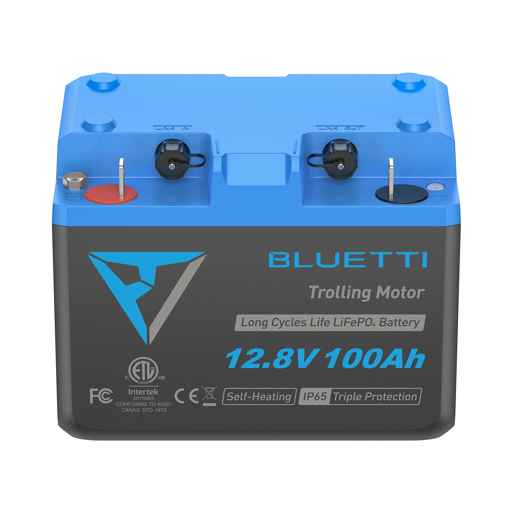 BLUETTI LiFePO₄ B1210 Deep Cycle Batteries - Image 10