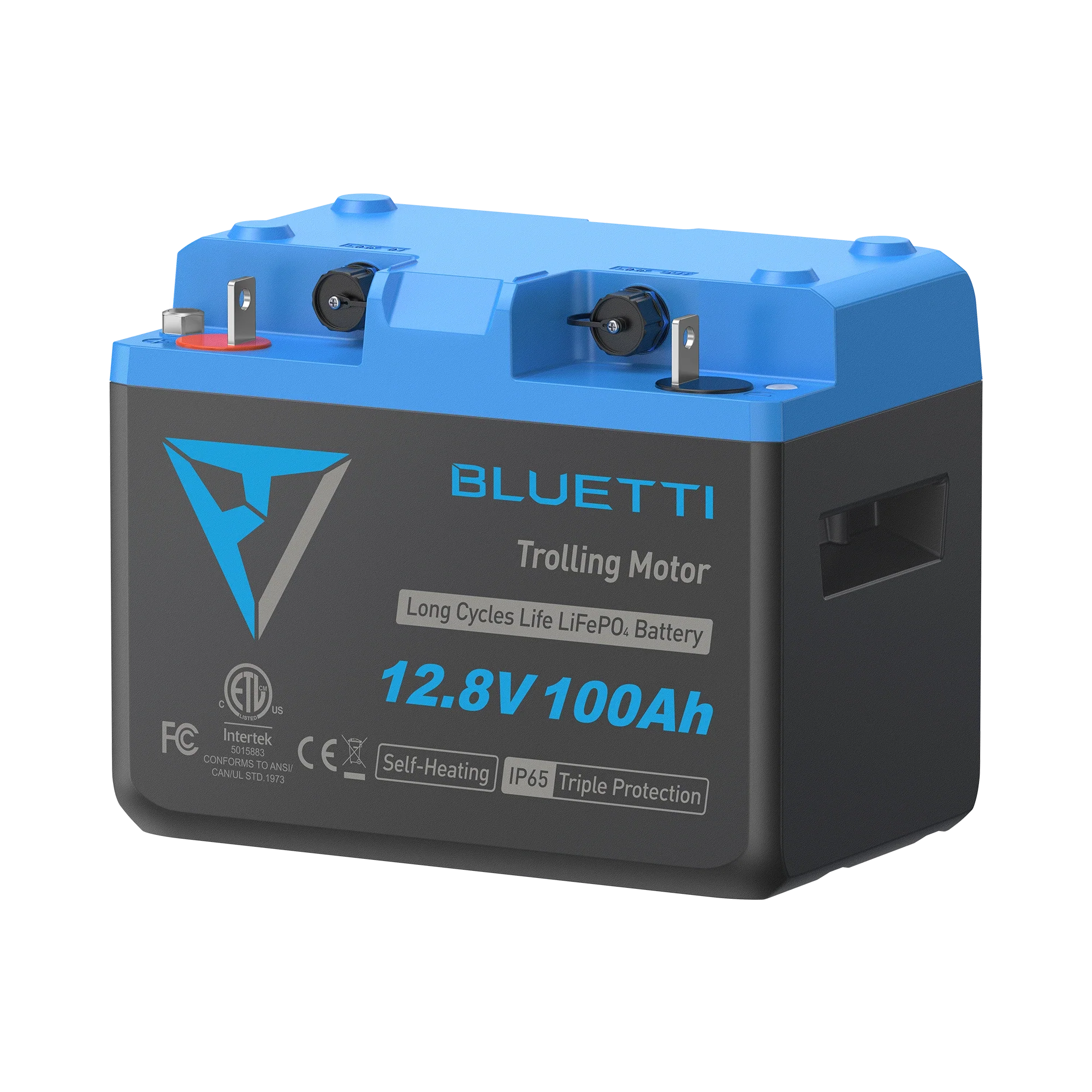 BLUETTI LiFePO₄ B1210 Deep Cycle Batteries - Image 3