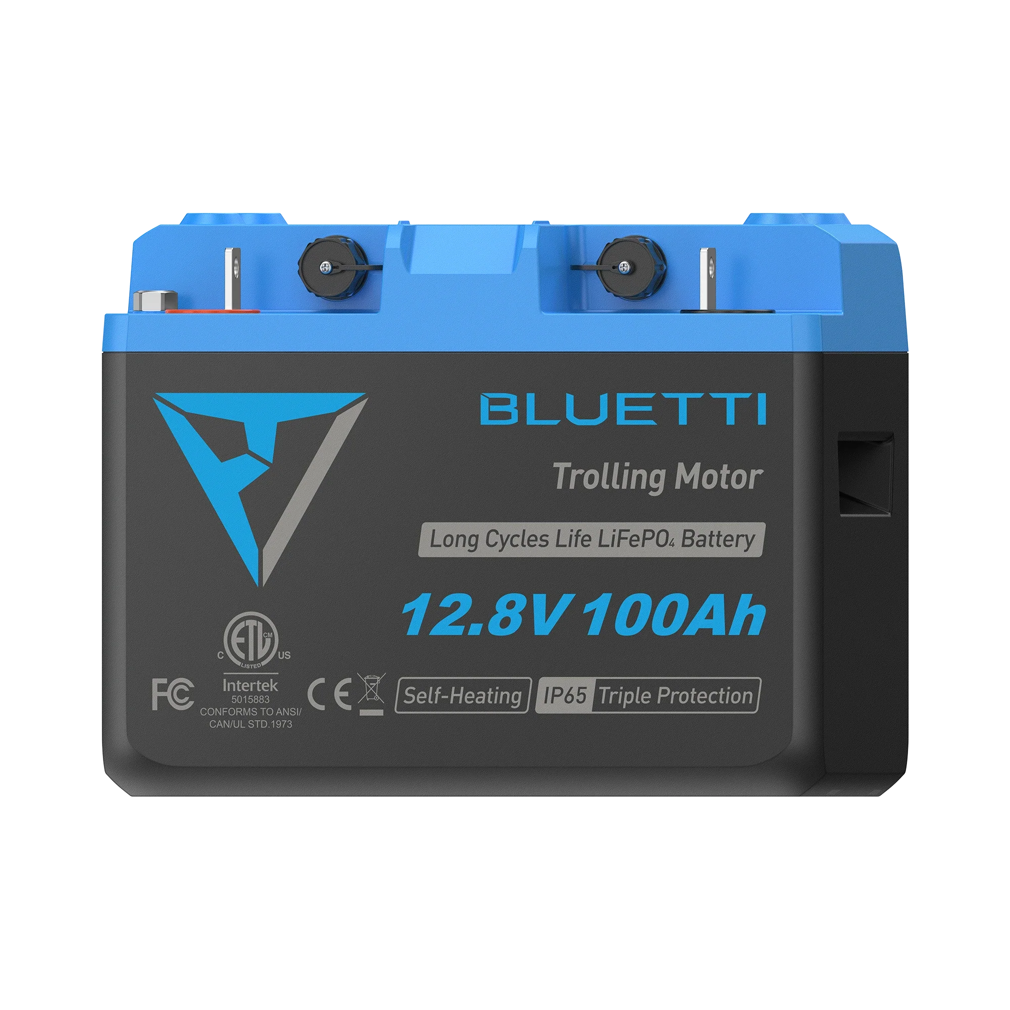 BLUETTI LiFePO₄ B1210 Deep Cycle Batteries - Image 4