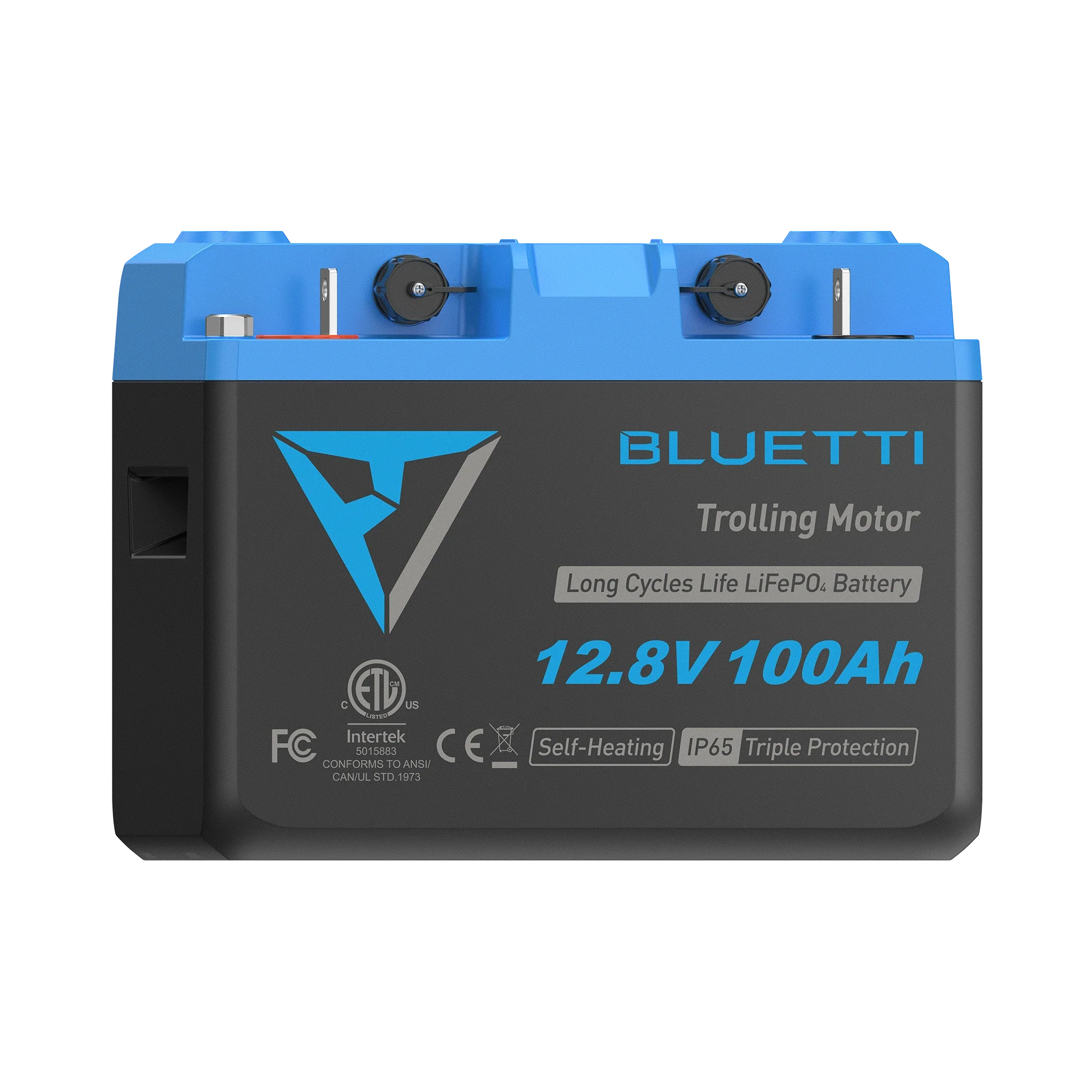 BLUETTI LiFePO₄ B1210 Deep Cycle Batteries - Image 5